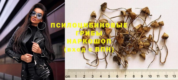 прущие грибы Богородск