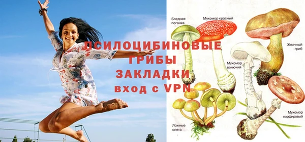 экстази Богданович