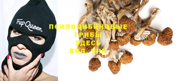 экстази Богданович