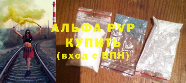 прущие грибы Богородск