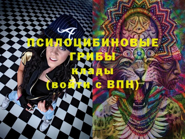 экстази Богданович