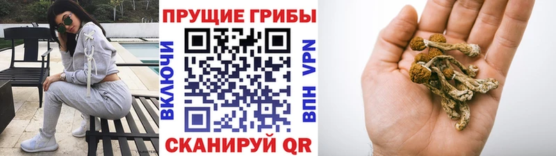 Псилоцибиновые грибы Magic Shrooms  что такое   ссылка на мегу зеркало  Биробиджан 