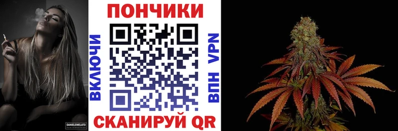 Каннабис план  купить наркотики цена  Биробиджан 